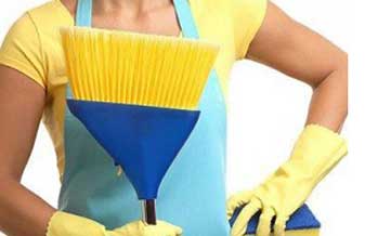 WV Domésticas - Foto 1