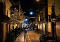 ações de fiscalização