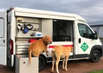 Castramóvel Bragança Paulista