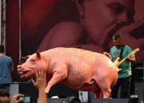 Pork’s Festival Motor Rock