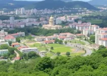 licenciamentos ambientais