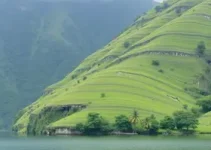 Faixa Verde