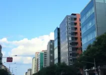 DDM de Bragança Paulista
