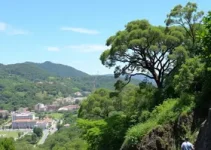 Licenciamento Ambiental
