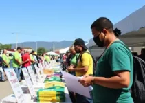 oportunidades de emprego em Bragança