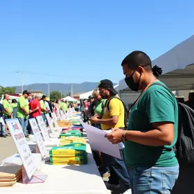 oportunidades de emprego em Bragança